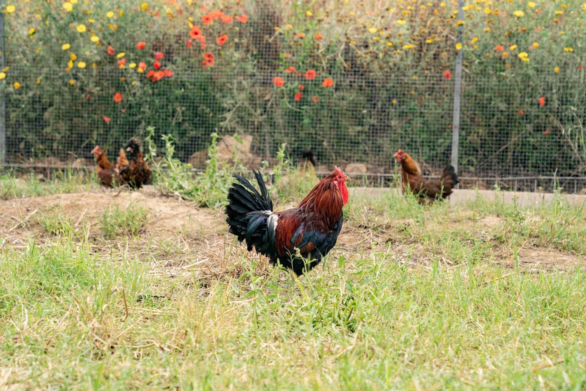 Judeka Agriresort Caltagirone Esterno foto