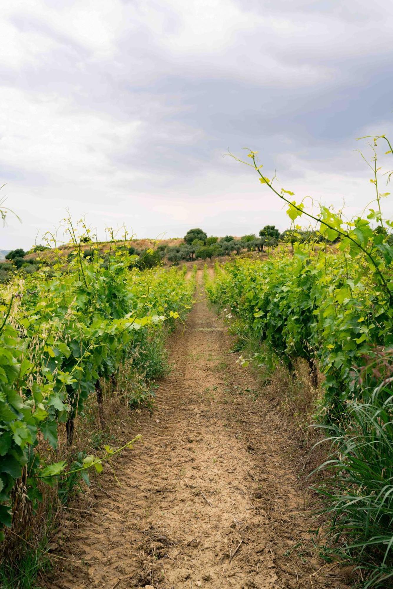 Judeka Agriresort Caltagirone Esterno foto