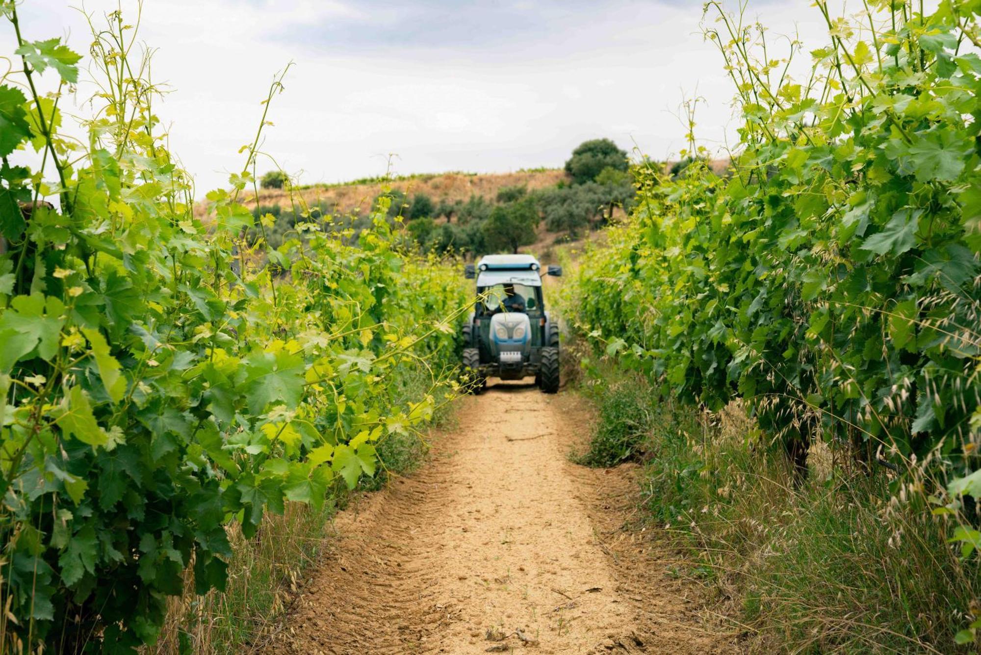 Judeka Agriresort Caltagirone Esterno foto